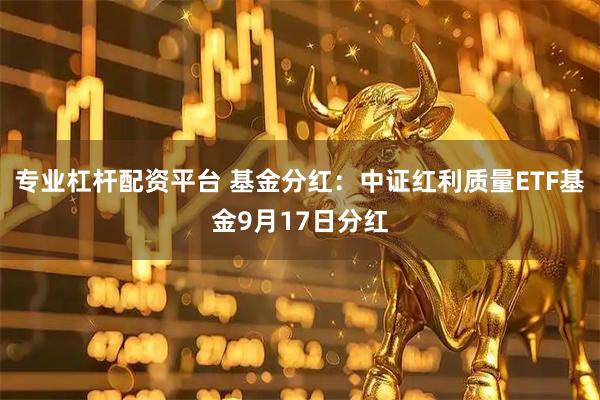 专业杠杆配资平台 基金分红：中证红利质量ETF基金9月17日分红