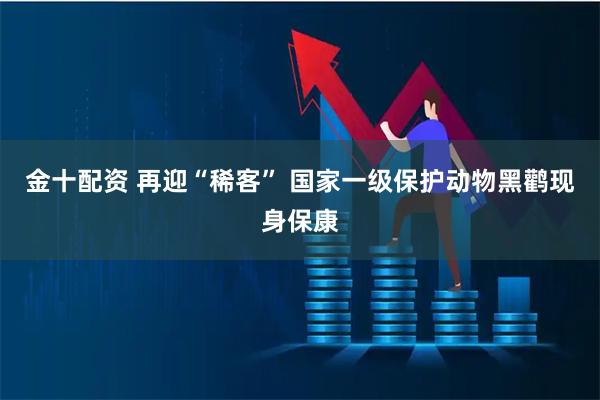 金十配资 再迎“稀客” 国家一级保护动物黑鹳现身保康